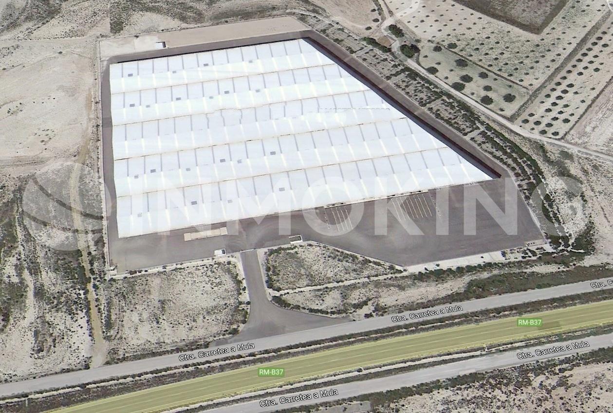Foto de la propiedad Nave Torres de Cotillas 9.395m2 con muelles